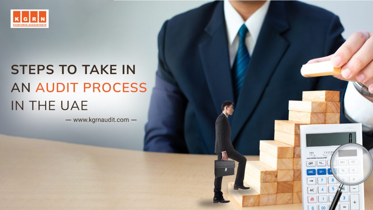 Steps to Take in an Audit Process in the UAE