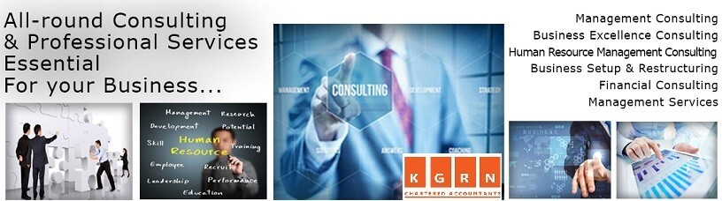 professional auditing services in dubai