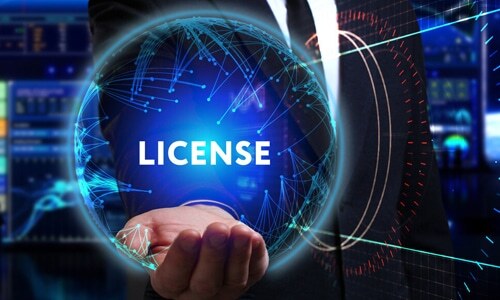 Company Activities and Licensing 500x 300 MORE services Page