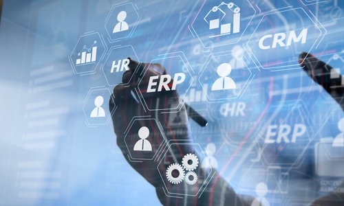 ERP Implementation and Support 500x 300 advisory services Page