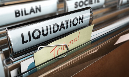 Liquidation And Deregistration Service 500x 300 advisory services Page