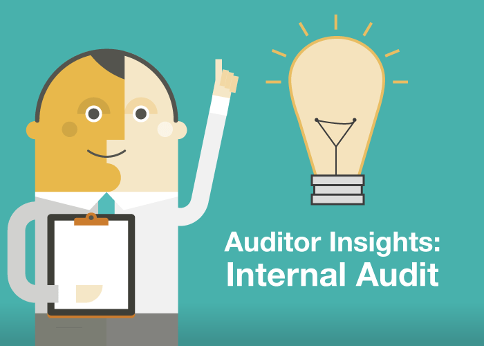 internal audit services