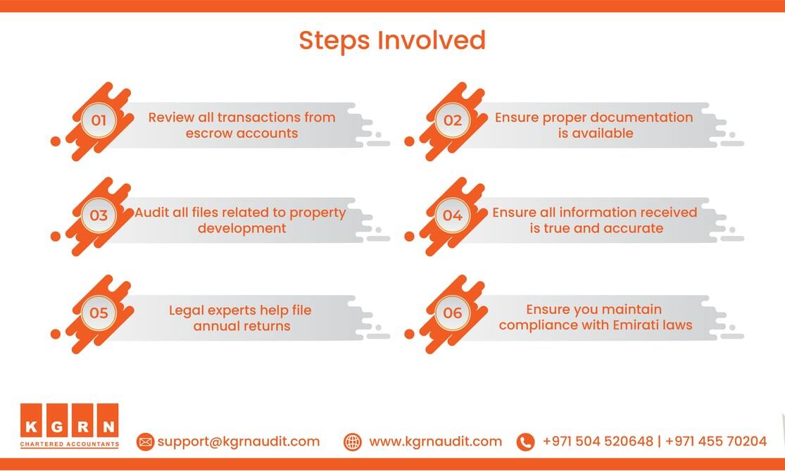 Audit Services for Project Developers Benefits steps rs min