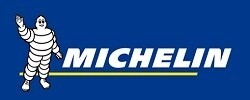 michelin logo 250100 michelin logo 250100